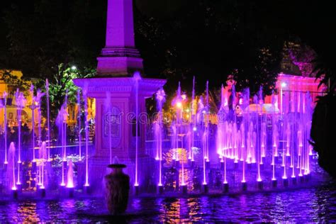 The Magic of Water: Delphinikm's Fascinating Fountain Show